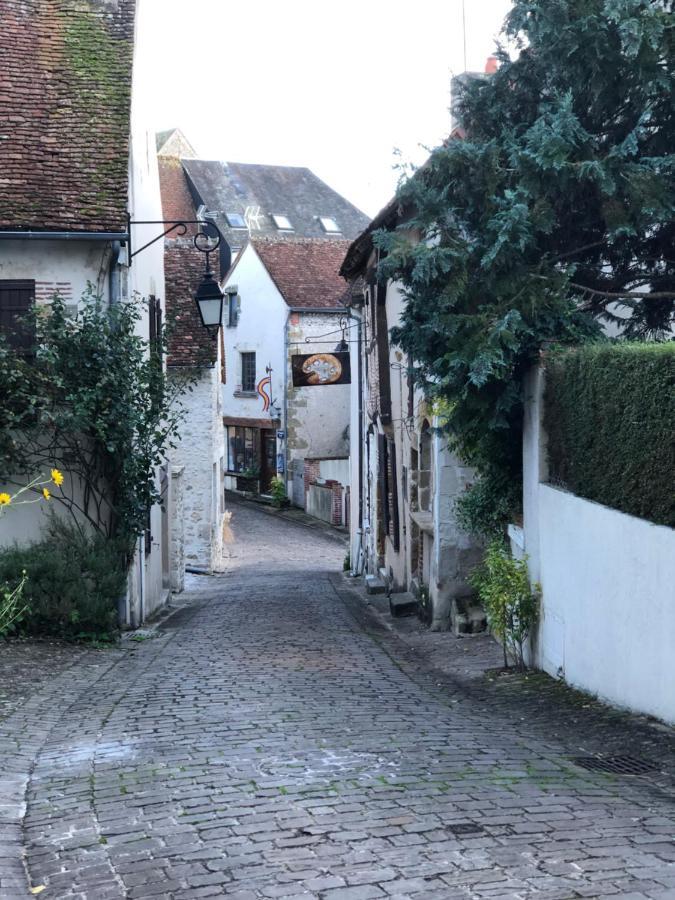 Villa L’échappée Monestoise à Mennetou-sur-Cher Extérieur photo