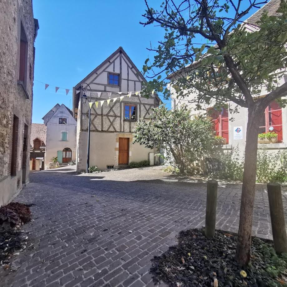 Villa L’échappée Monestoise à Mennetou-sur-Cher Extérieur photo